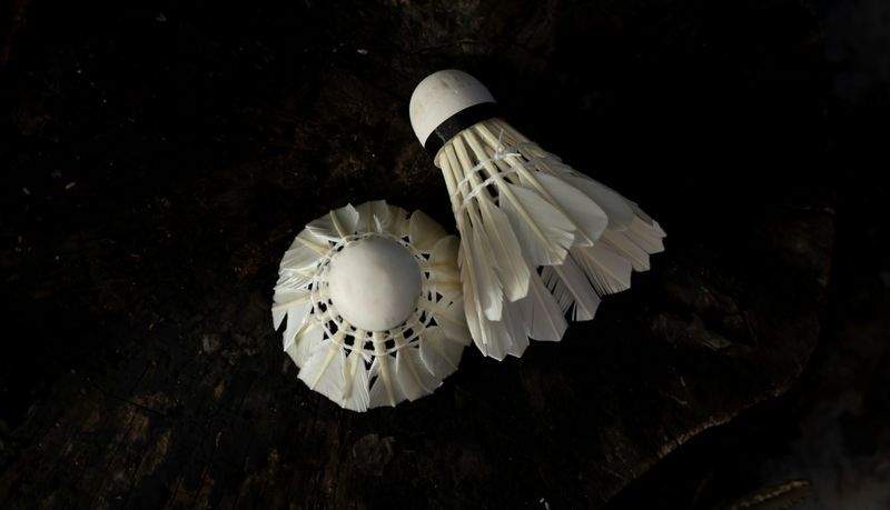 Coq & Tradition France 5